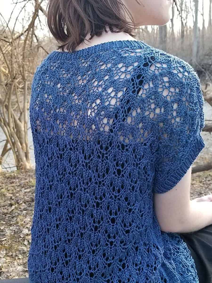 A person with short brown hair sits outdoors, wearing a blue, short-sleeve, crocheted lace top. Leafless trees and a river are visible in the background. The intricate pattern of the top is clearly shown.