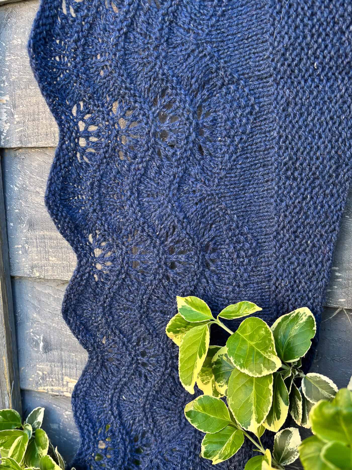 A close-up of a navy blue knitted shawl with a wavy feather and fan pattern, draped against a wooden fence. Green leaves with white edges are visible in the lower right corner.