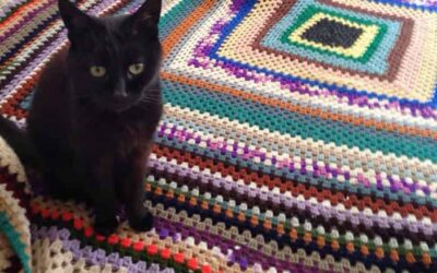 An exciting crochet find!