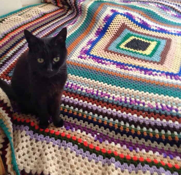 An exciting crochet find!